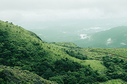 ponmudi